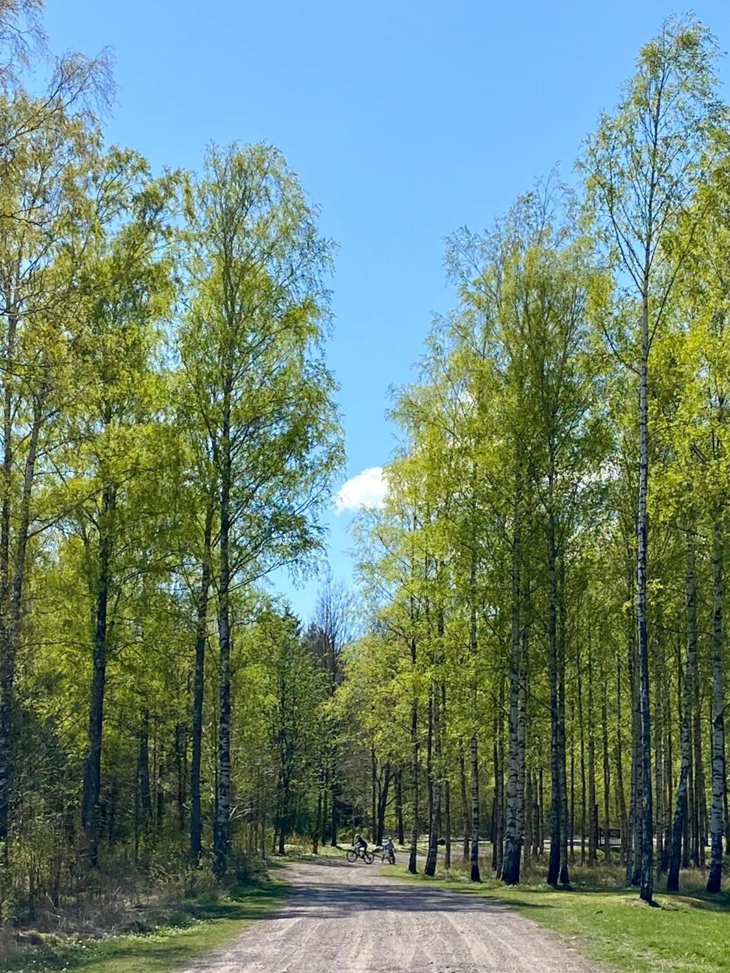 Hyggelig Leilighet Naer Stranden, Tonsberg Daire Dış mekan fotoğraf