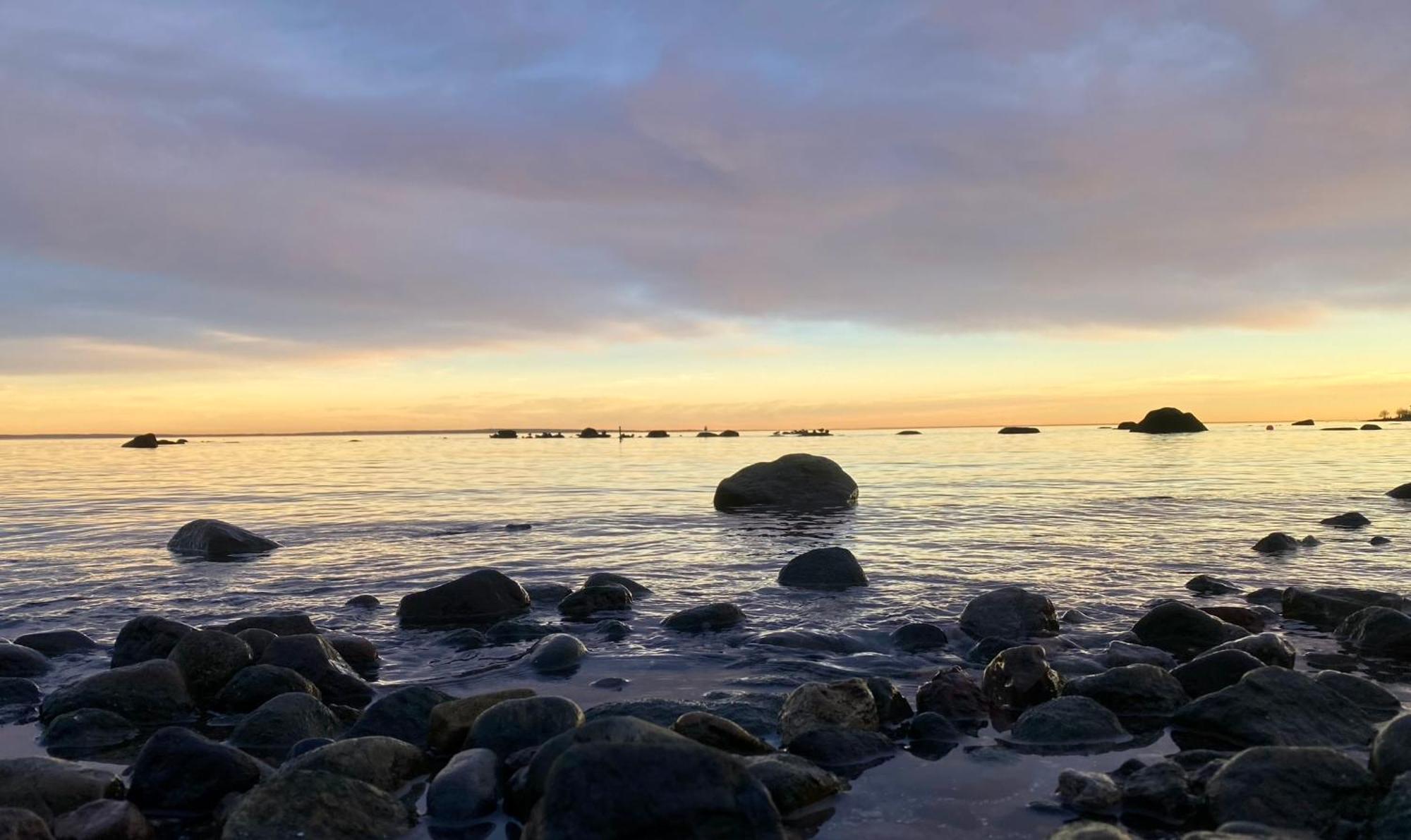 Hyggelig Leilighet Naer Stranden, Tonsberg Daire Dış mekan fotoğraf